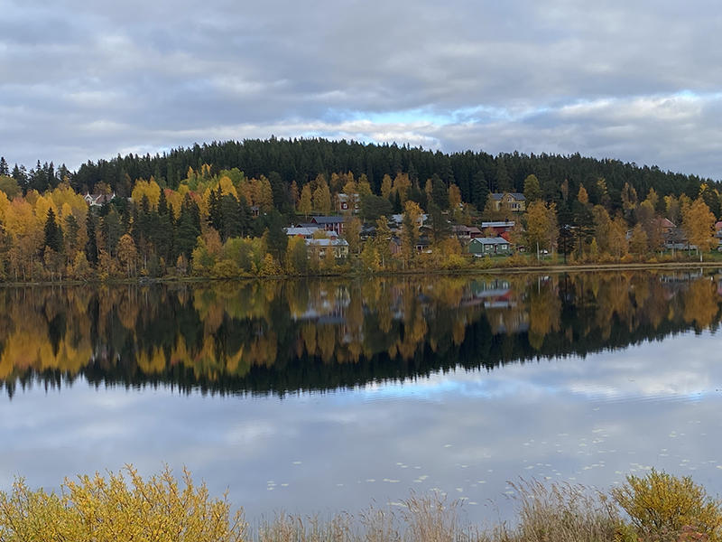 Naturbild2