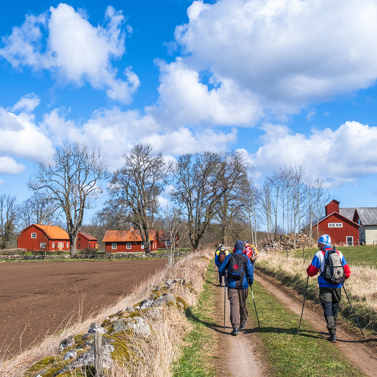 Group with men walking on a dirt road in the countryside